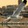 Gaviota