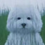 ricepoison