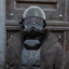 Maverick_Zuko