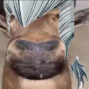 Steam Avatar