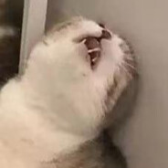 被老公哒橘瓣赣到脱纲