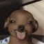 g0se&lt;*&gt;