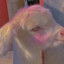 sweetchirp