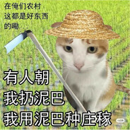 俱乐部脚熊