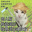 Avatar of player 俱乐部脚熊