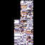 MissingNo.