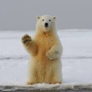 Polar - steam id 76561197970733842