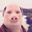 John Pork