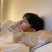 落地成盒艺术家