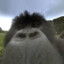 Monke
