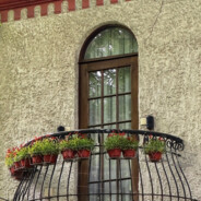 很少一只小红花