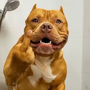 ★ᶦᶰᵈ᭄❂Gᴀᴍᴇʀ