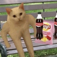 我再没勇气向你讲旧时