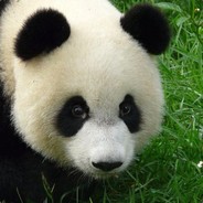 [TNR]ПаНдОчКа:)