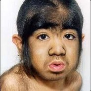 Hactory | Divine Shop #36