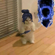 阿呆的海豚护符