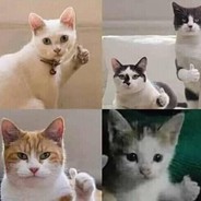 อย่าทำน้อง