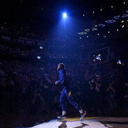 有三分的小鲨鱼