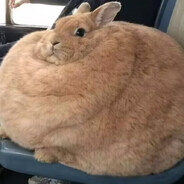 略安区最高的山雷霆兔子大