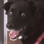 BEEF SWELLINGTON [GB]