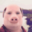 willas_hw