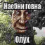Адольф Глиммер