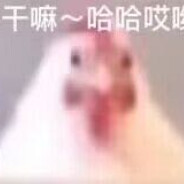 今天鸡谁好呢？