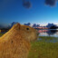 CAPYBARA