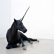 D4NKS1 // 除外されている