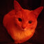 meow
