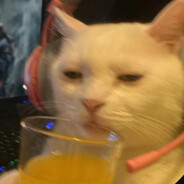 milfenjoyer - steam id 76561198872595600