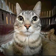 她说超薄也是保持距离