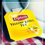 Lipton