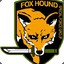 FOX_HOUND_S.F.G._Operative