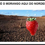 MoranGOD do nordeste