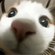 遇到困难睡小觉