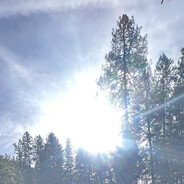 slenderman (collect my pages) avatar