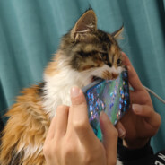 提升自己不如压力队友