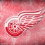 TheRedWingsFan