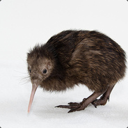 Distorted Kiwi
