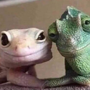 :3