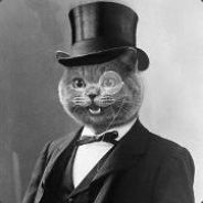 SwiftBear32