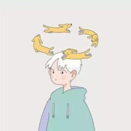 猫和老鼠的配角