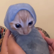 LukeLukaku avatar