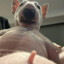 Big Bober
