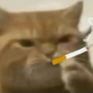 相当你的数学老师