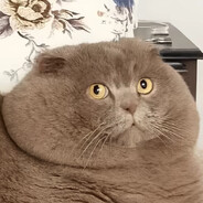 Slippin - steam id 76561199572530817