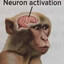 ape$hit
