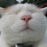 重新来过的文青