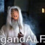 gandALF._-__-__::;